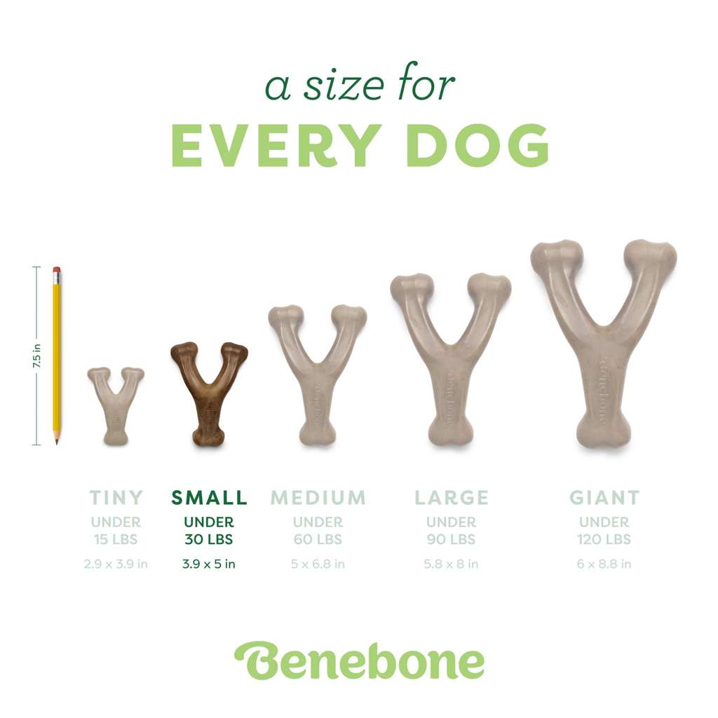 Benebone Wishbone size guide