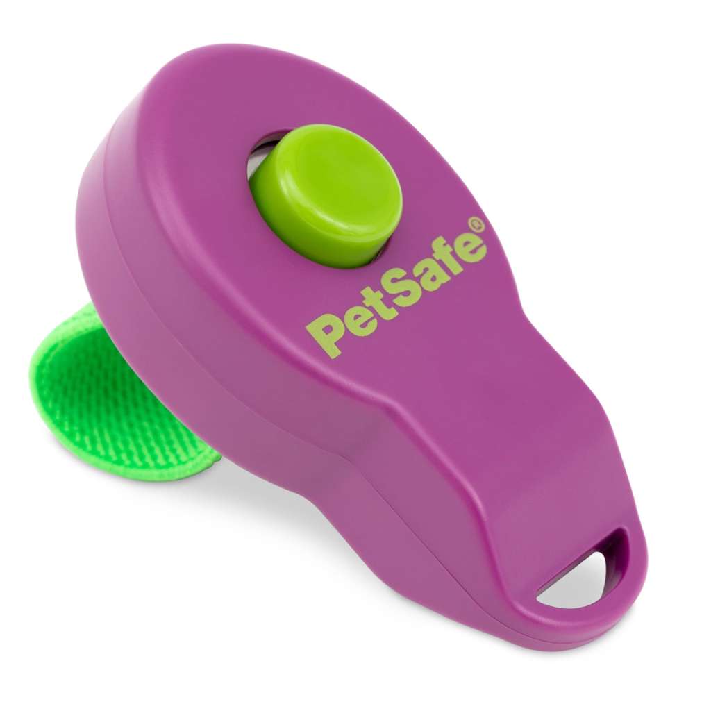 PetSafe Clik-R training tool