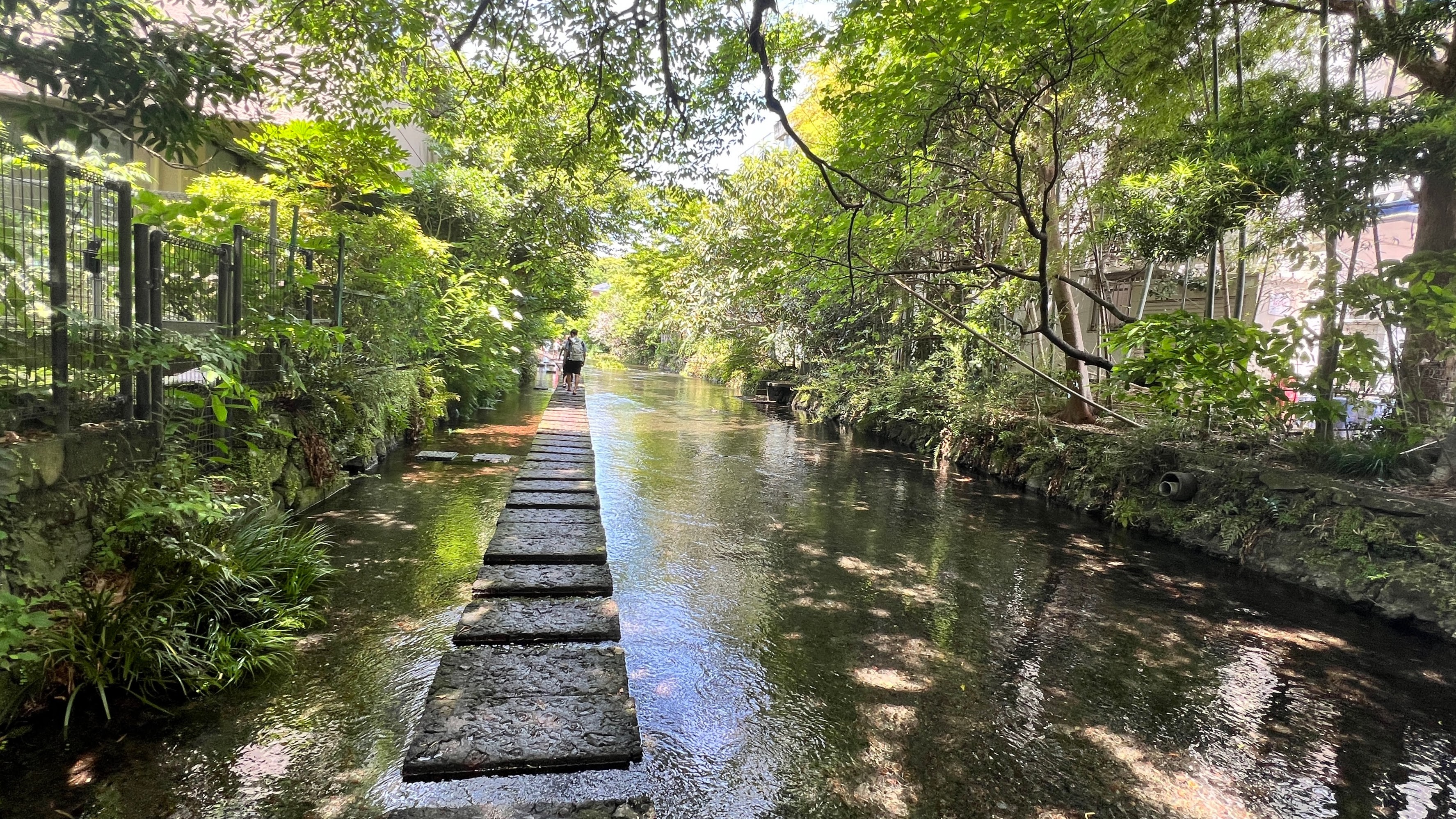 デフォルト画像